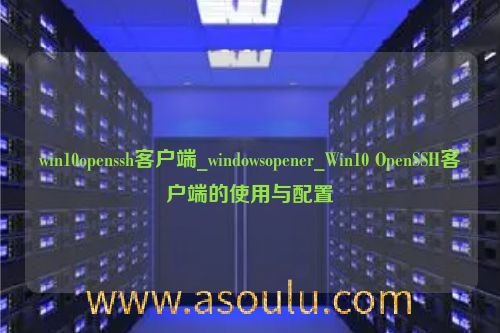 win10openssh客户端_windowsopener_Win10 OpenSSH客户端的使用与配置