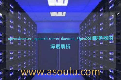 opensshserver_openssh server daemon_OpenSSH服务器的深度解析