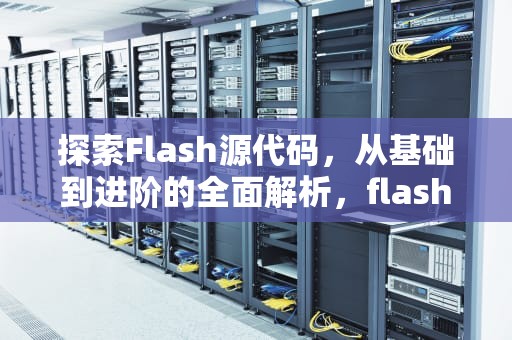 探索Flash源代码，从基础到进阶的全面解析，flash源代码怎么看