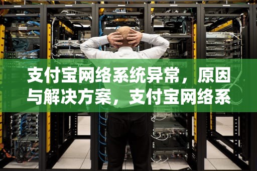 支付宝网络系统异常，原因与解决方案，支付宝网络系统异常怎么解决