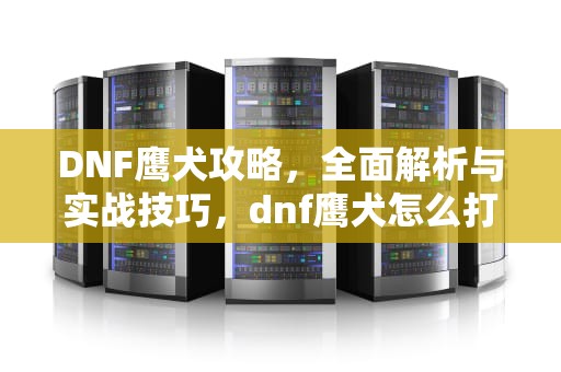 DNF鹰犬攻略，全面解析与实战技巧，dnf鹰犬怎么打
