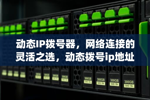 动态IP拨号器，网络连接的灵活之选，动态拨号ip地址