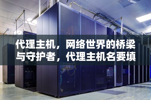 代理主机，网络世界的桥梁与守护者，代理主机名要填什么