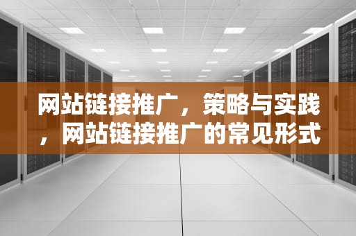 网站链接推广，策略与实践，网站链接推广的常见形式有哪些