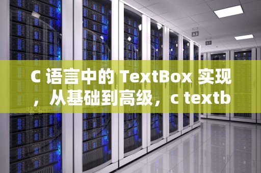 C 语言中的 TextBox 实现，从基础到高级，c textbox 重直居中