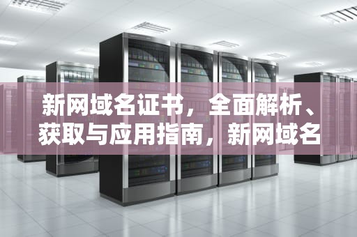 新网域名证书，全面解析、获取与应用指南，新网域名证书查询