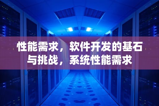 性能需求，软件开发的基石与挑战，系统性能需求