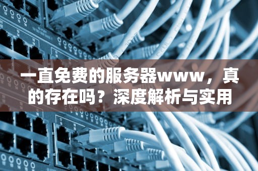 一直免费的服务器www，真的存在吗？深度解析与实用指南，一直免费的服务器下载