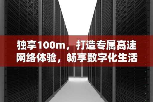 独享100m，打造专属高速网络体验，畅享数字化生活新境界，独享100m宽带