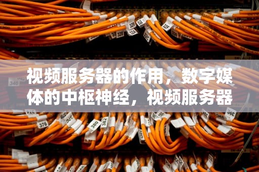 视频服务器的作用，数字媒体的中枢神经，视频服务器的作用是什么