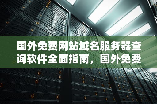 国外免费网站域名服务器查询软件全面指南，国外免费网站域名服务器查询软件下载