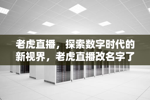 老虎直播，探索数字时代的新视界，老虎直播改名字了