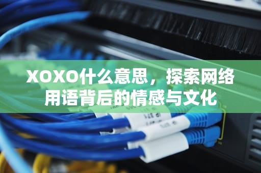 XOXO什么意思，探索网络用语背后的情感与文化