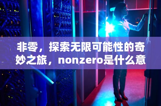 非零，探索无限可能性的奇妙之旅，nonzero是什么意思