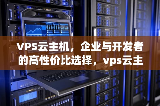 VPS云主机，企业与开发者的高性价比选择，vps云主机搭建网站步骤