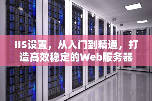 IIS设置，从入门到精通，打造高效稳定的Web服务器，iis设置32位应用程序
