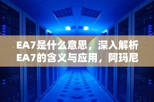 EA7是什么意思，深入解析EA7的含义与应用，阿玛尼的ea7是什么意思