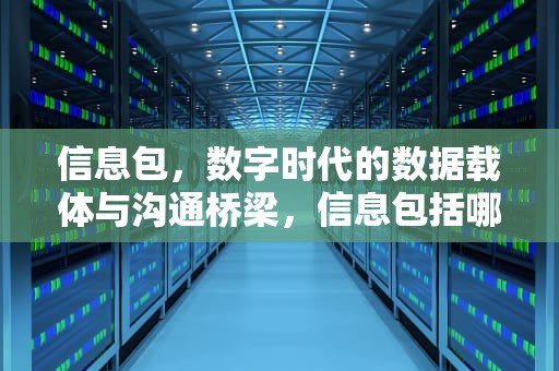 信息包，数字时代的数据载体与沟通桥梁，信息包括哪三大类