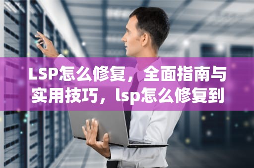 LSP怎么修复，全面指南与实用技巧，lsp怎么修复到初始状态
