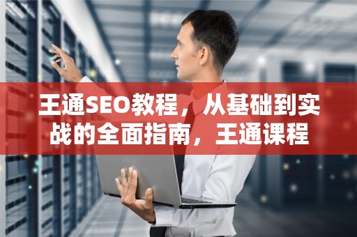 王通SEO教程，从基础到实战的全面指南，王通课程
