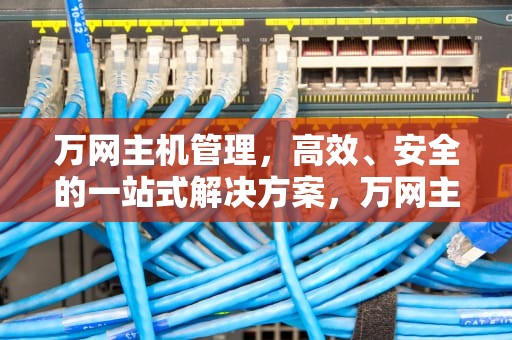 万网主机管理，高效、安全的一站式解决方案，万网主机管理控制台