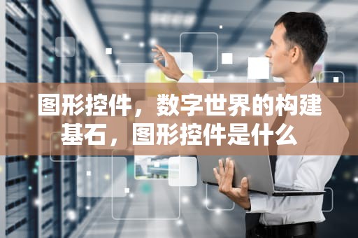 图形控件，数字世界的构建基石，图形控件是什么