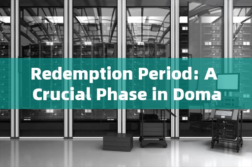 Redemption Period: A Crucial Phase in Domain Name Management