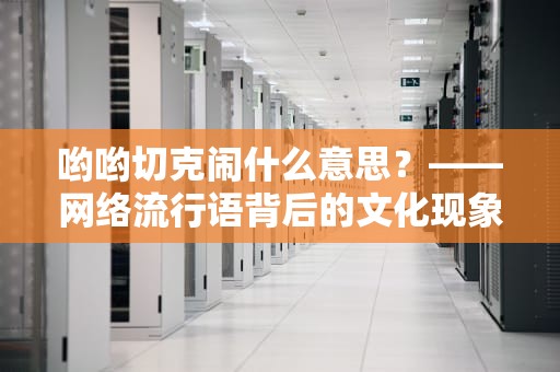 哟哟切克闹什么意思？——网络流行语背后的文化现象解析，哟哟切克闹什么意思?
