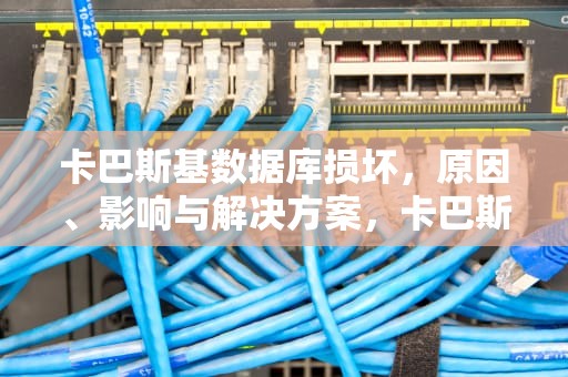 卡巴斯基数据库损坏，原因、影响与解决方案，卡巴斯基数据库严重过期