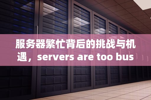 服务器繁忙背后的挑战与机遇，servers are too busy绝地求生