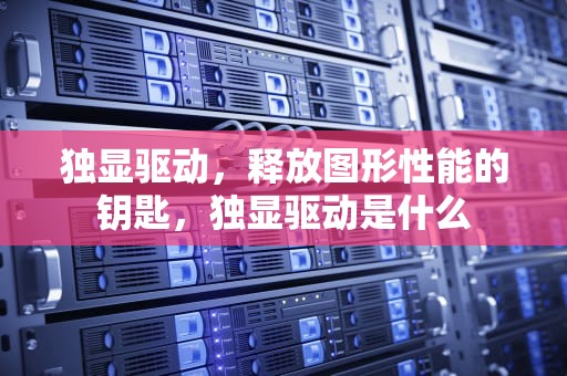 独显驱动，释放图形性能的钥匙，独显驱动是什么