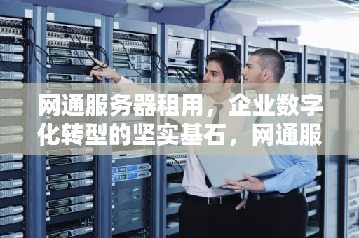 网通服务器租用，企业数字化转型的坚实基石，网通服务器租用多少钱