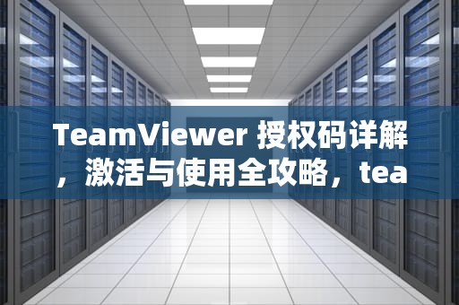 TeamViewer 授权码详解，激活与使用全攻略，teamviewer授权码在哪