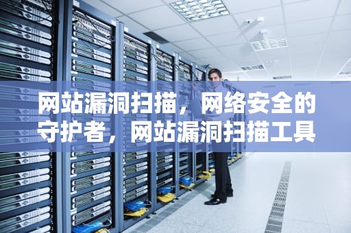 网站漏洞扫描，网络安全的守护者，网站漏洞扫描工具