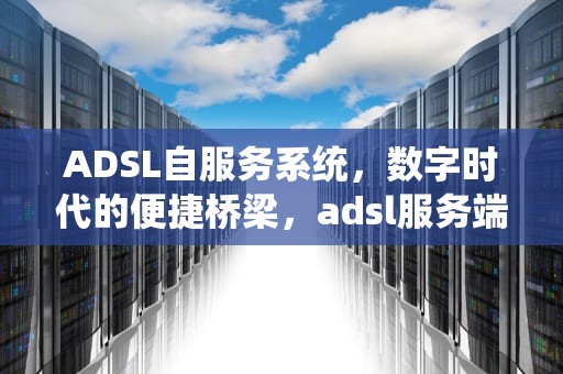 ADSL自服务系统，数字时代的便捷桥梁，adsl服务端