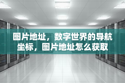 图片地址，数字世界的导航坐标，图片地址怎么获取