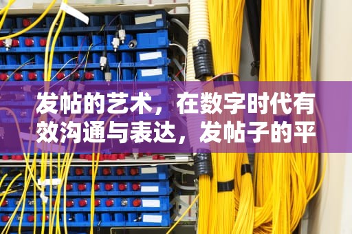 发帖的艺术，在数字时代有效沟通与表达，发帖子的平台有哪些