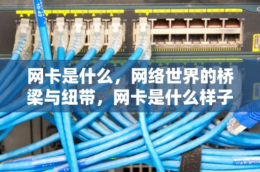 网卡是什么，网络世界的桥梁与纽带，网卡是什么样子的图片