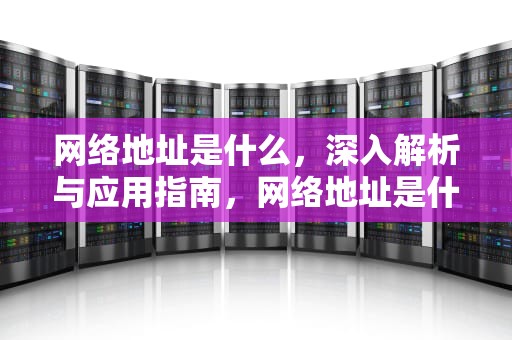网络地址是什么，深入解析与应用指南，网络地址是什么意思