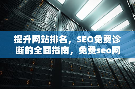 提升网站排名，SEO免费诊断的全面指南，免费seo网站诊断