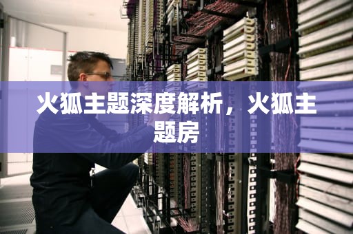 火狐主题深度解析，火狐主题房