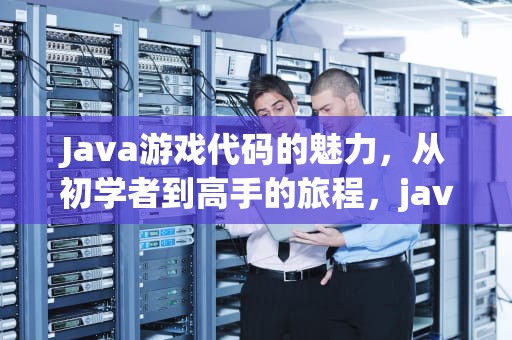 Java游戏代码的魅力，从初学者到高手的旅程，java游戏代码大全可复制