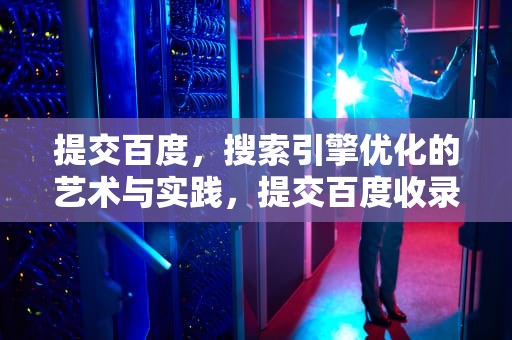提交百度，搜索引擎优化的艺术与实践，提交百度收录
