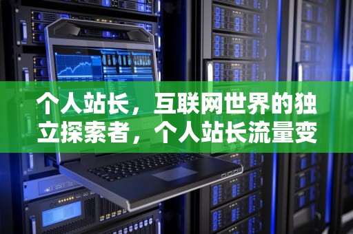 个人站长，互联网世界的独立探索者，个人站长流量变现