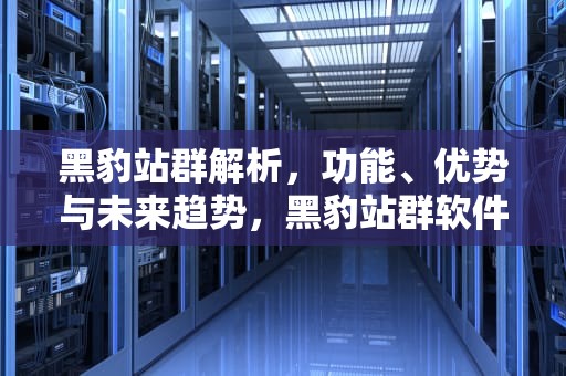 黑豹站群解析，功能、优势与未来趋势，黑豹站群软件怎么样
