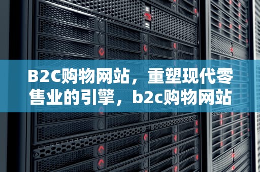 B2C购物网站，重塑现代零售业的引擎，b2c购物网站有哪些