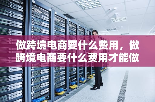 做跨境电商要什么费用，做跨境电商要什么费用才能做