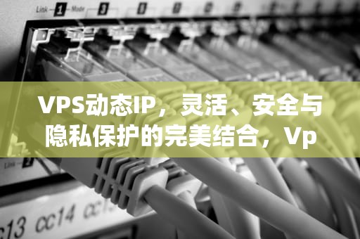 VPS动态IP，灵活、安全与隐私保护的完美结合，Vps动态服务器