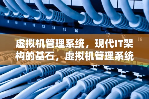 虚拟机管理系统，现代IT架构的基石，虚拟机管理系统有哪些