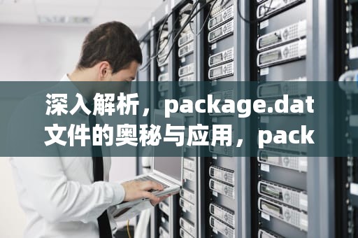 深入解析，package.dat文件的奥秘与应用，packageData